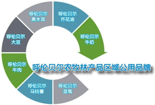 看 呼伦贝尔市大手笔打造 叫得响 的农牧林产品区域公用品牌
